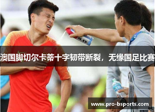 澳国脚切尔卡蒂十字韧带断裂，无缘国足比赛